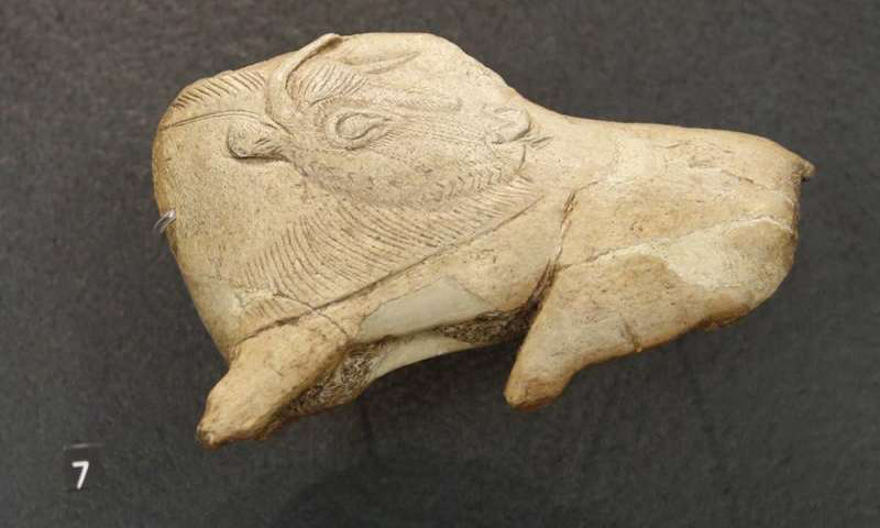Preserved spear thrower hook dated to about 12,500 years ago from the site of La Madeleine, in France. Credit: Wikimedia commons.