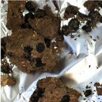 Prehistoric man in the Galilee preferred legumes