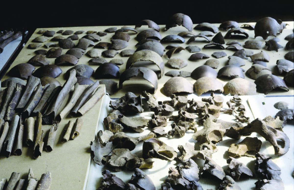 Human skeletal remains from the Late Iron Age, dredged up in Kessel.
Credit: Vrije Universiteit Amsterdam