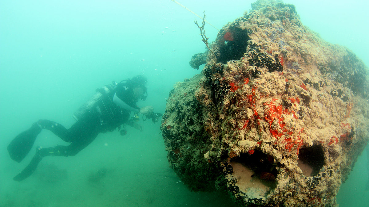 Rare images of sunken Pearl Harbor seaplane