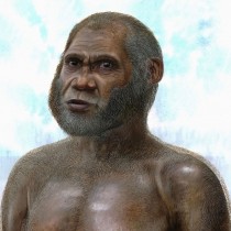 ‘Red Deer Cave people’ bone points to mysterious species of pre-modern human