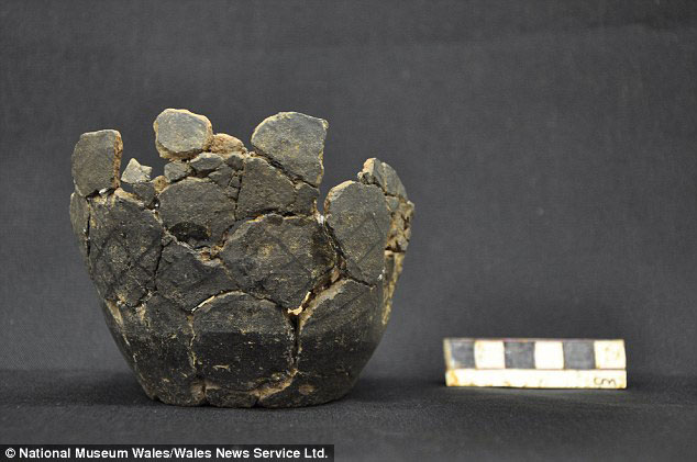 Archaeologists were able to lift the pot in which the coins were buried. Photo Credit: National Museum of Wales/South Wales Evening Post.