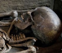 Extremely rare Viking skeleton and coffin go on display