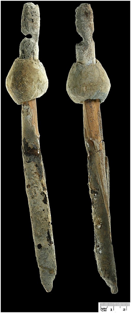The Ashalim Cave lead object. Photo Credit: PLOS ONE.