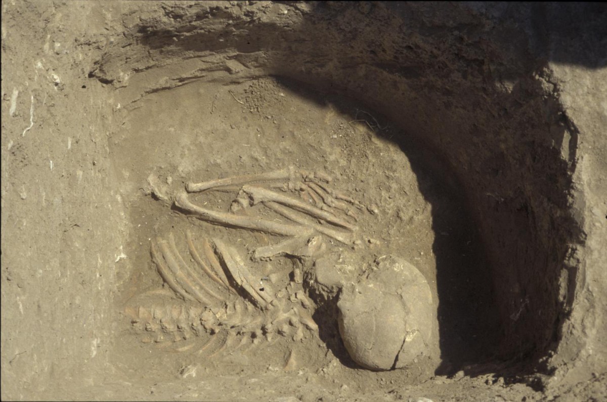 A large part of results come from grave 6 in Kumtepe, excavated in 1994. Here the upper part of a skeleton. Photo provided by Project Troia, thanks to Peter Jablonka. Credit: Photo provided by Project Troia, thanks to Peter Jablonka.