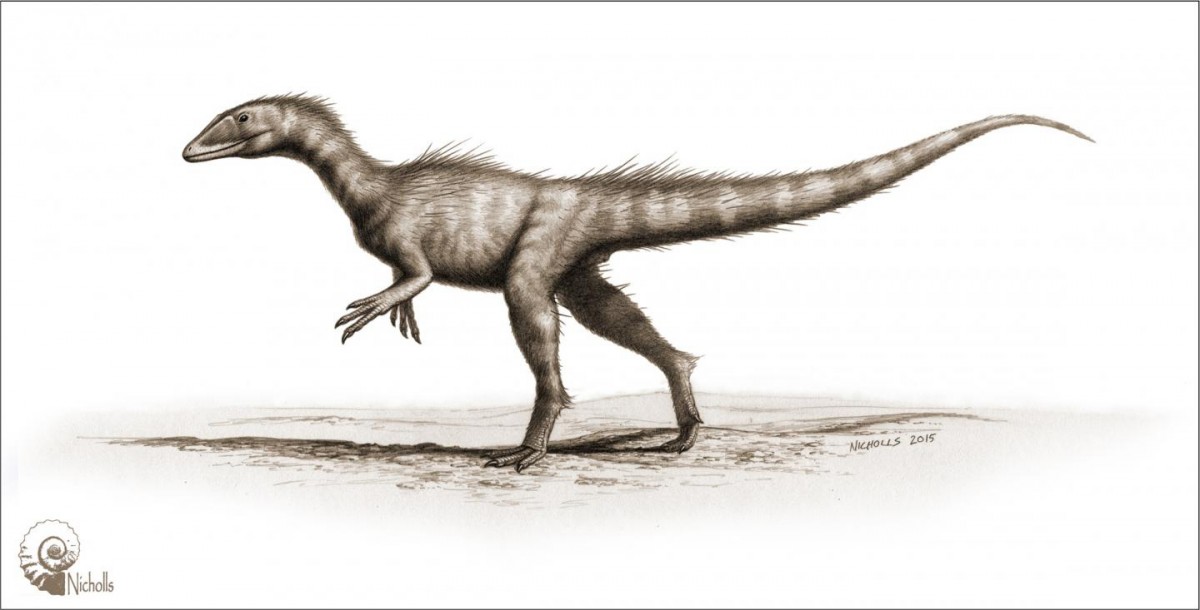 This is an artist's impression of Dracoraptor hanigani.
Credit: Bob Nicholls