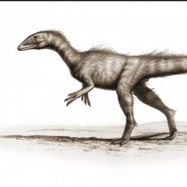 200 million-year-old Jurassic dinosaur uncovered in Wales