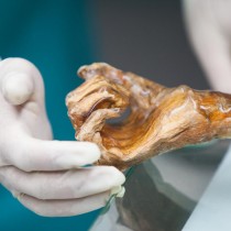 New discoveries concerning Ötzi’s genetic history