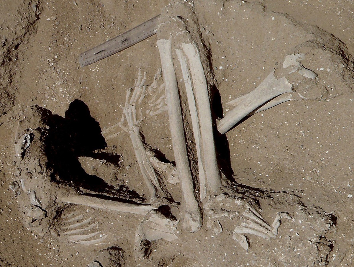 Skeleton of woman found reclining on left elbow with fractures on knees. Position of the hands suggests they may have been bound. 