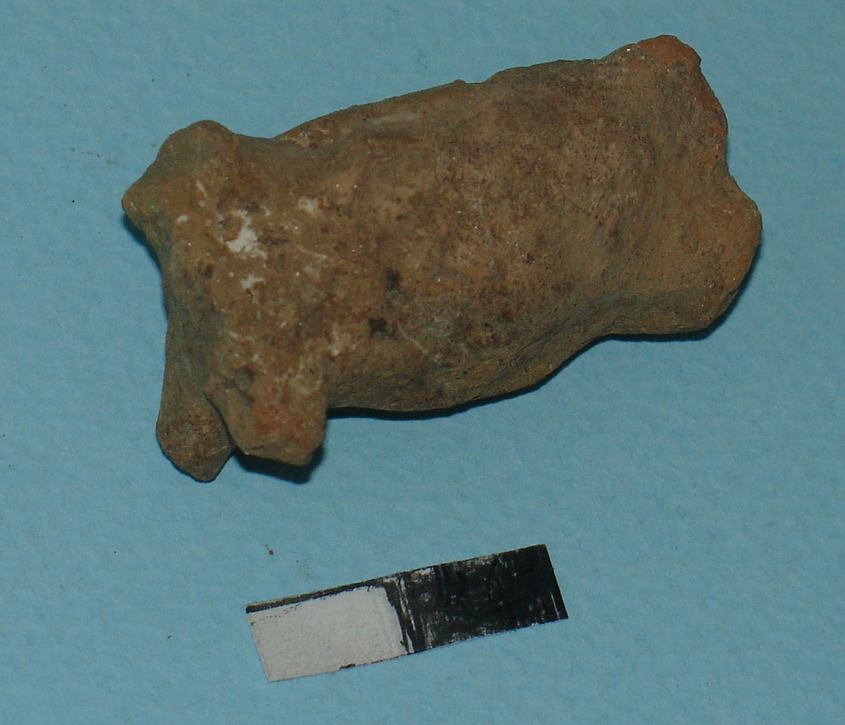 Fig. 4. Zoomorphic figurine of a four legged domestic animal.