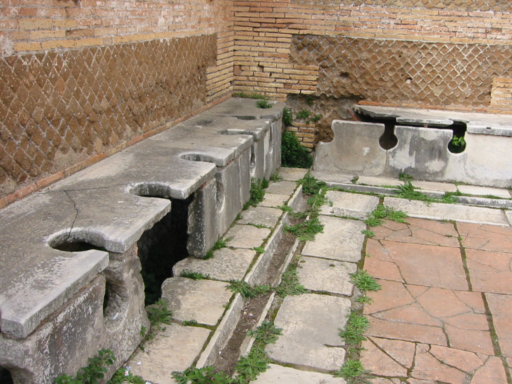 Roman toilets gave no clear health benefit