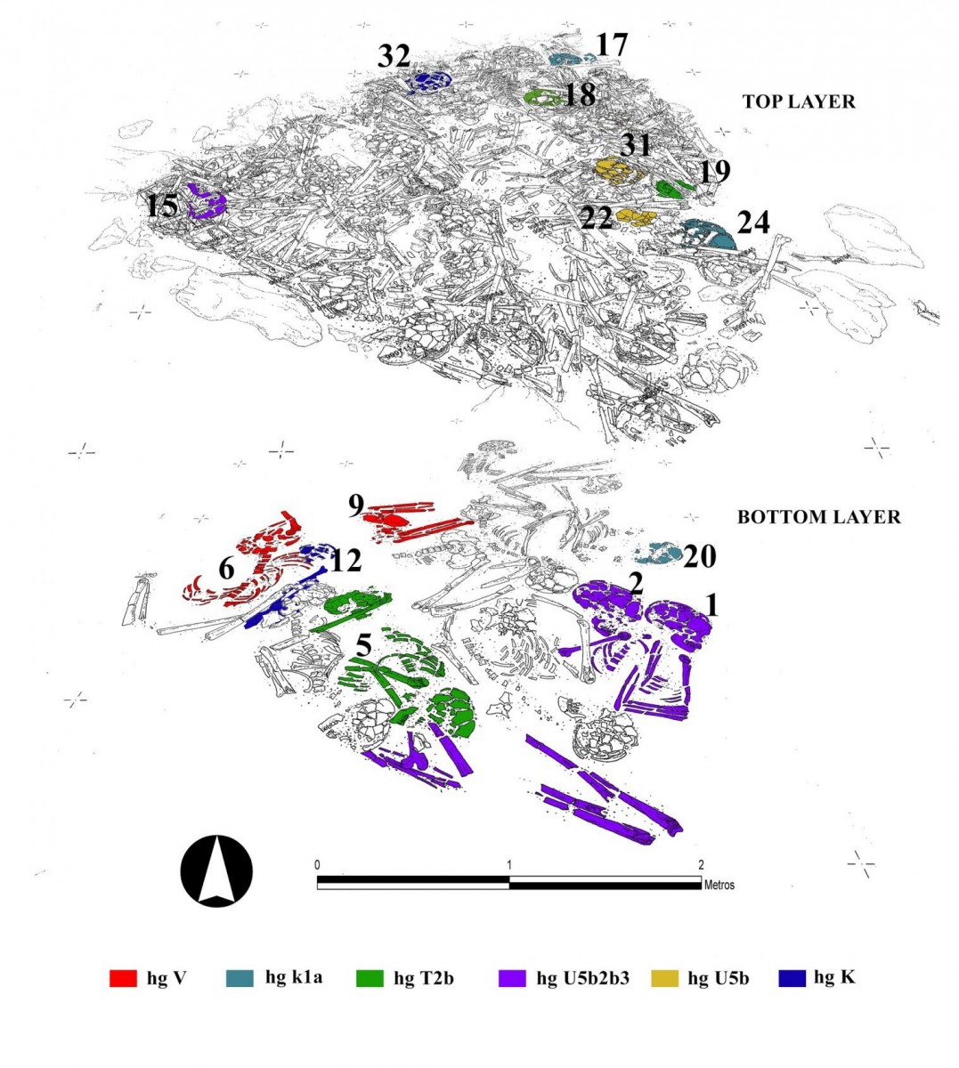 This image shows the superposition of different layers of the Neolithic ossuary indicating the individuals with the same genetic profile. Credit: Graphic by Héctor Arcusa Magallón.