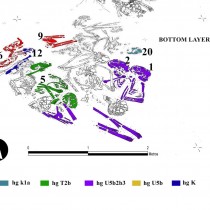 Neolithic tomb reveals community stayed together, even in death