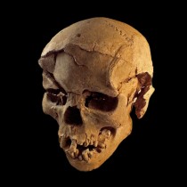 Evidence of a prehistoric massacre found in Kenya