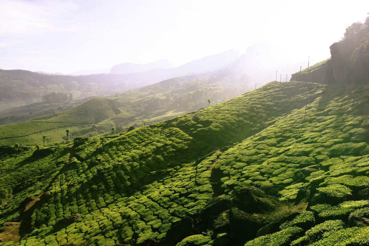Mounting evidence suggests early agriculture staved off global cooling