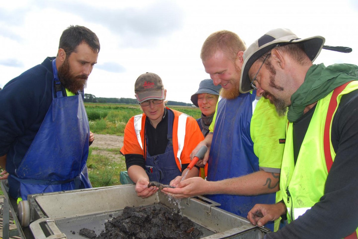 Adam Boethius, doctoral student in Osteology at Lund University together with other archaeologists in Blekinge, Sweden. Credit: Lund University.