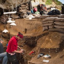 Humans evolved by sharing technology and culture