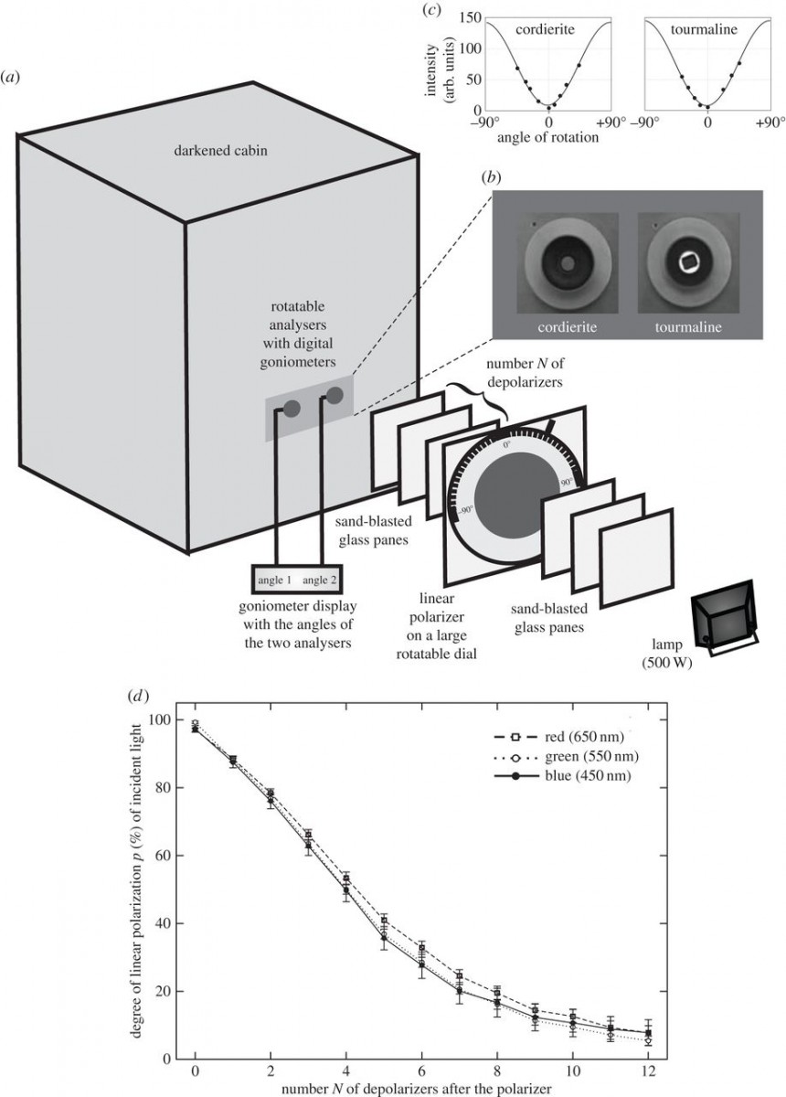 The team of scientists have been testing the theory. Image Credit: Royal Society Open Science.