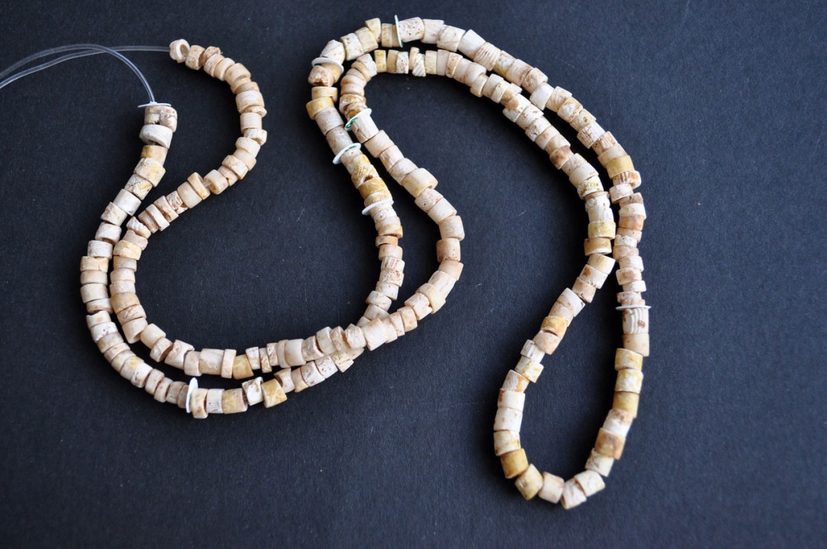 Fig. 5. Beads made of the spondylus shell from a necklace obviously worn by the dead woman, from cremation burial no 21.