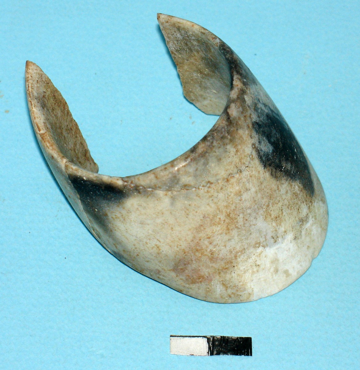 Fig. 6. Piece of stone jewellery (made of opal) from cremation burial no 22.