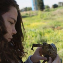 Early man had a penchant for tortoises