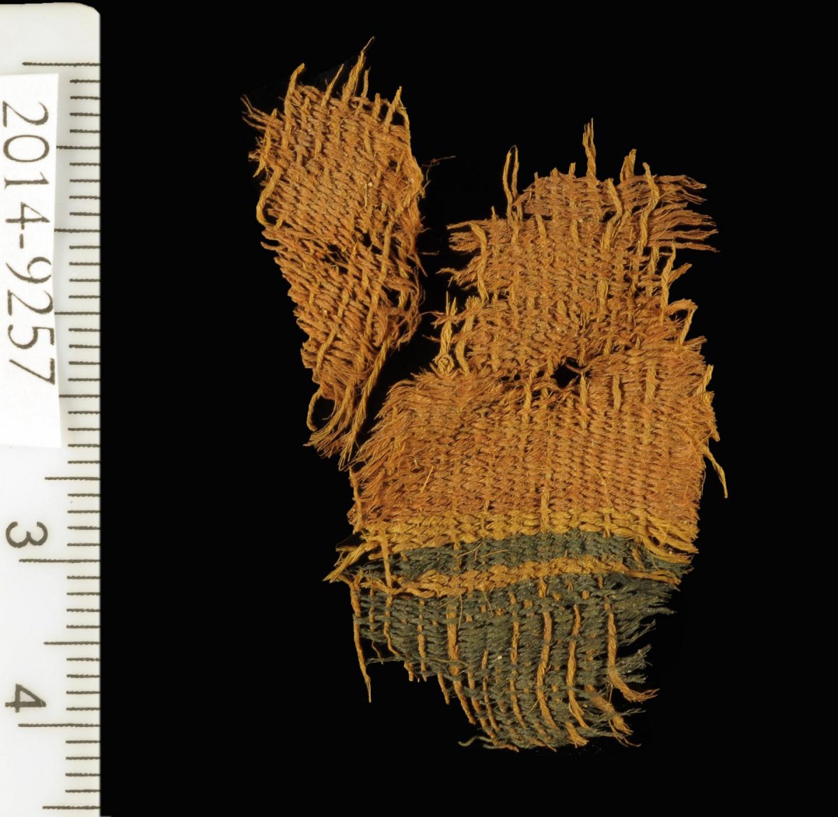 A fine wool textile dyed red and blue, found at Timna. The textile used the various colors of natural animal hair to create black and orange-brown colors for decorative bands.
Credit: Clara Amit, courtesy of the Israel Antiquities Authority.