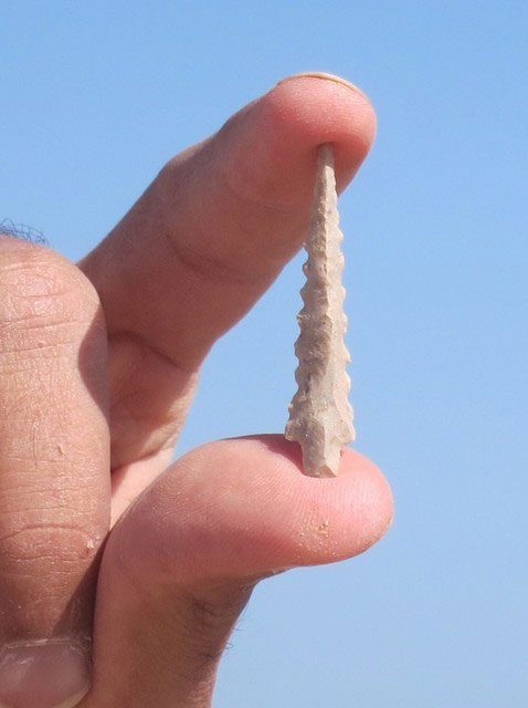 Flint arrowhead found at site MR11, Marawah Island. This type of arrowhead is known as a trihedral point, because of its triangular cross section. It dates to between the 6th to early 5th millennium BC. Photo Credit: Abu Dhabi TCA/The National UAE.