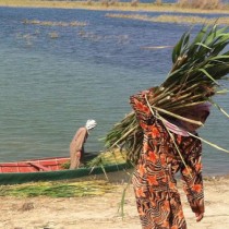 Ecological collapse circumscribes traditional women’s work