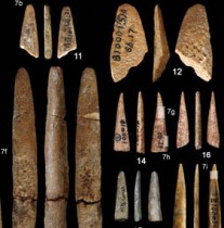 Palaeolithic Chinese bone tools analysed in study