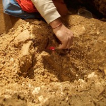 400,000-year-old fossils from Spain provide earliest genetic evidence of Neandertals