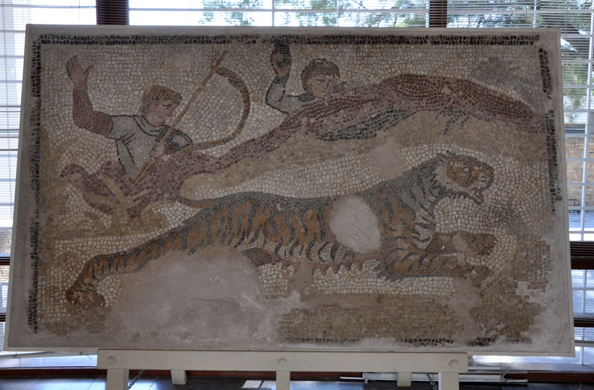 Fig. 30. Section of a mosaic floor with a hunting scene. From the courtyard of a public building of the late Roman era. Chios town (Ag. Iakovos - Papazi plot).