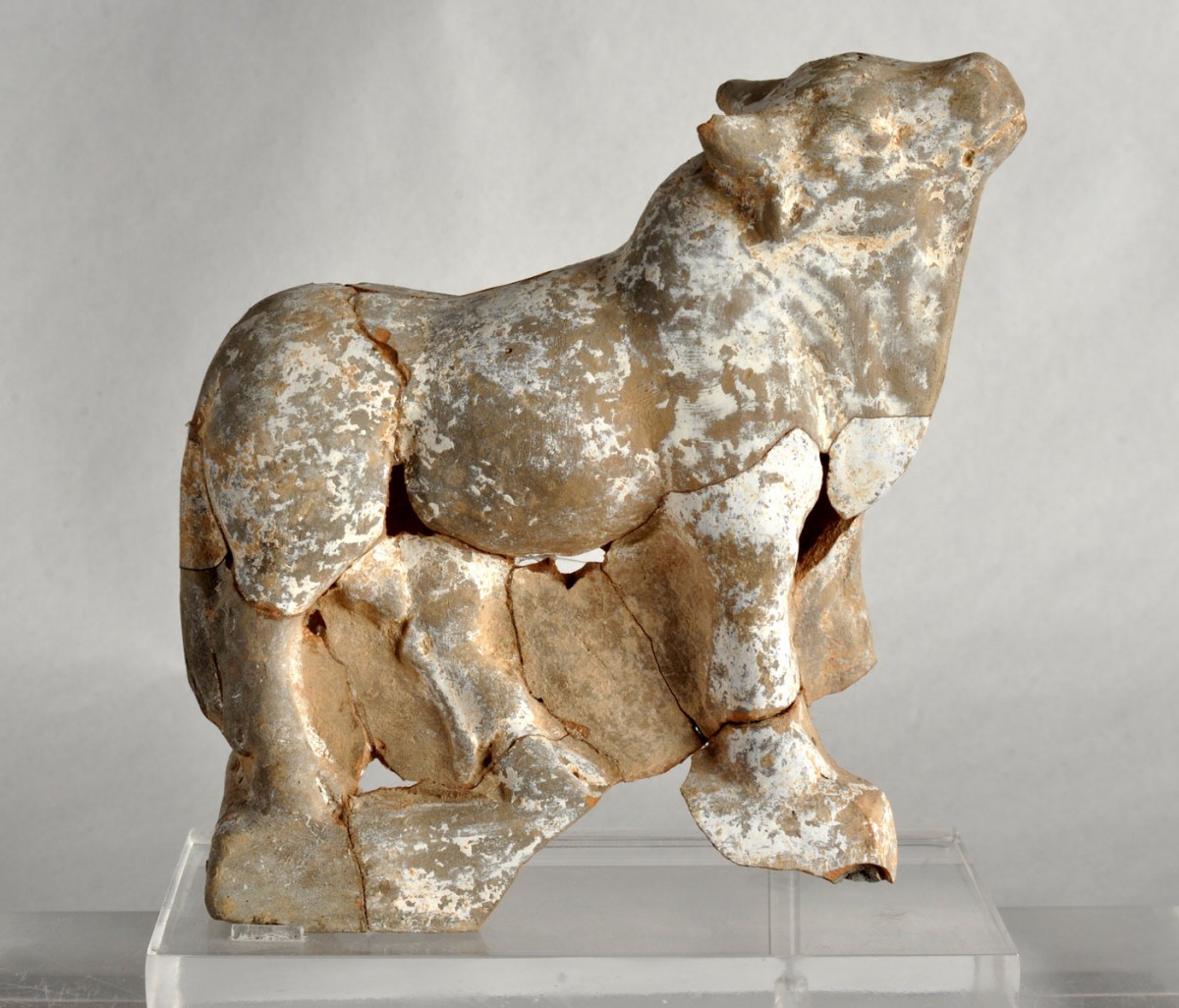 Fig. 35. Terracotta figurine of a cow. Found in a small child’s pithos burial with two ceramic bottles with teats. Hellenistic era. Chios town (Kofinas district - Georgalas plot).