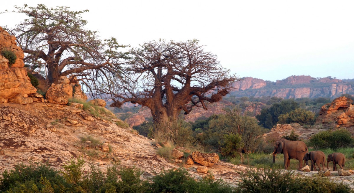 The Tuli block in northern Botswana, where the partially mummified individual was found. 