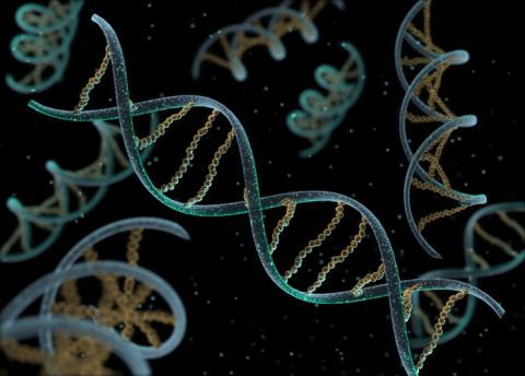 Exploring human DNA reveals genetic material from ancient viruses.