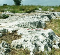 Neolithic quarry proves human impact on landscape