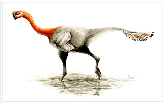 Apatoraptor pennatus as illustrated by paleontology graduate student and paleoartist Sydney Mohr.
