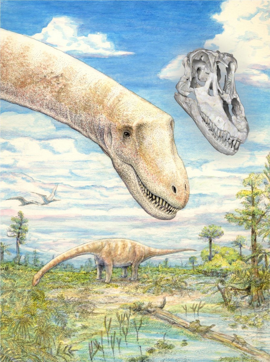 Sarmientosaurus life reconstruction & skull. Credit: Mark A. Klingler, Carnegie Museum of Natural History and WitmerLab, Ohio University.