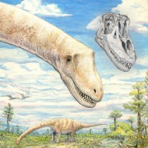 Newly discovered titanosaurian dinosaur from Argentina