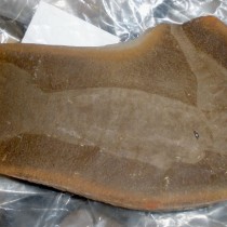 ‘Tully monster’ mystery is far from solved