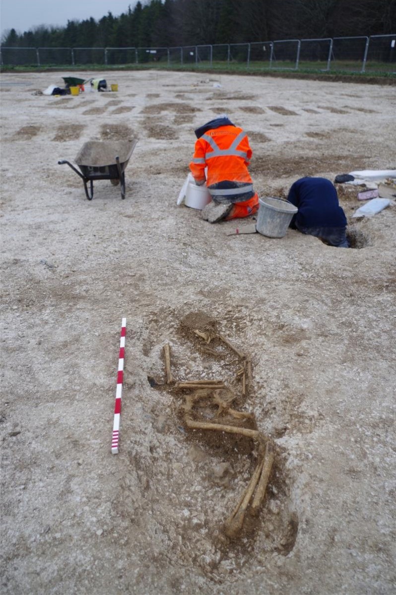 Excavations revealed an Anglo-Saxon cemetery of about 150 graves  [Credit: Wessex Archaeology].