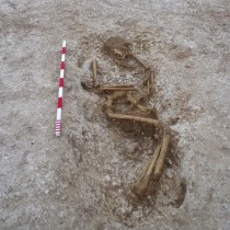 Saxon cemetery discovered at Bulford, Wiltshire