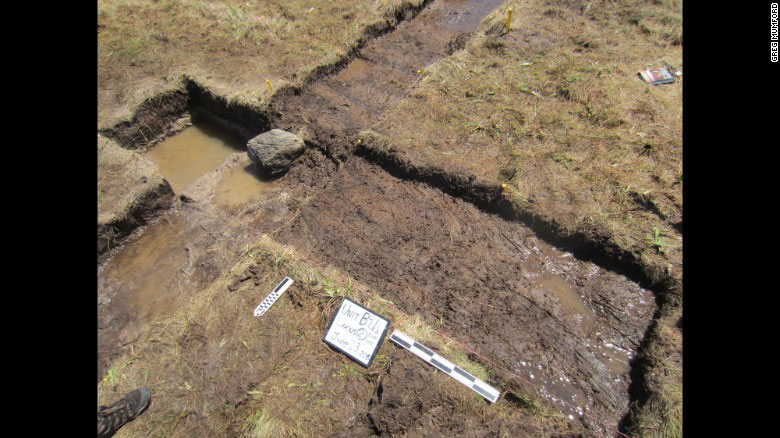 Excavation site at Point Rosse in Newfoundland. Photo Credit: CNN. 