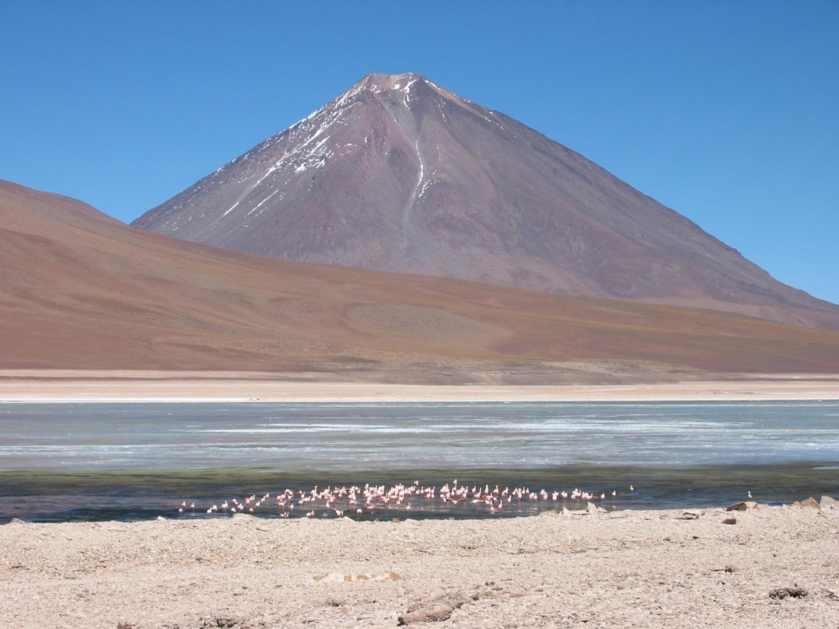 Volcano Licancabur, an active volcano in the Andean Continental volcanic arc on the Chile-Bolivia border, looms above flamingos in a nearby lake. Credit: Brian Horton.