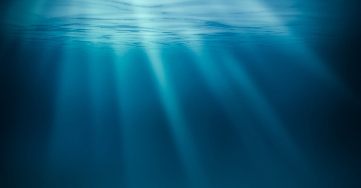 Like the dinosaurs themselves, giant marine reptiles, invertebrates and microscopic organisms became extinct after the catastrophic asteroid impact in an immense upheaval of the world’s oceans, yet deep sea creatures managed to survive.