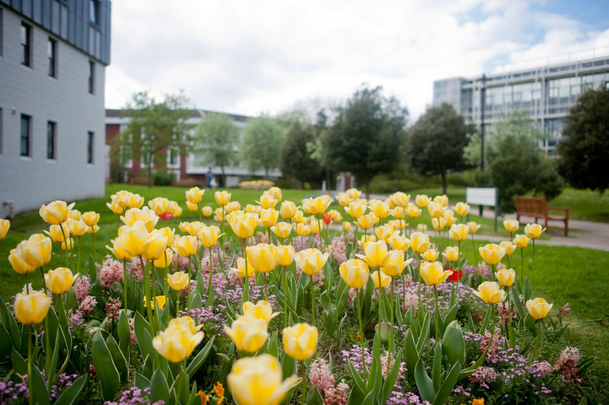 University of Warwick.