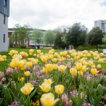 University of Warwick announces PostDoc position