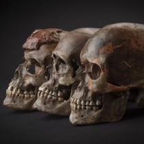 The genetic history of Ice Age Europe