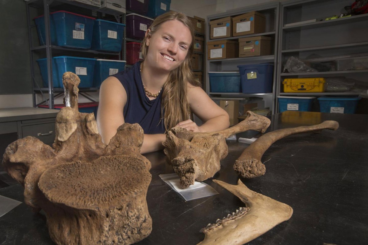 Assistant Professor Jessi Halligan and a research team recovered several bones and stone tools from the Page-Ladson site on the Aucilla River.
Credit: Bruce Palmer/Florida State University