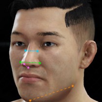 Genes for nose shape found