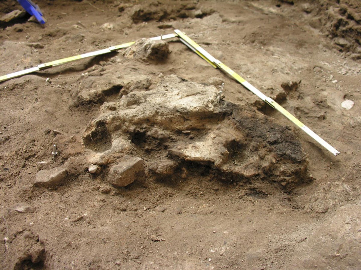 Pile of burnt debris of the Chalcolithic period unearthed at San Cristobal (Alava, Basque Country, Spain). Credit: UPV/EHU.